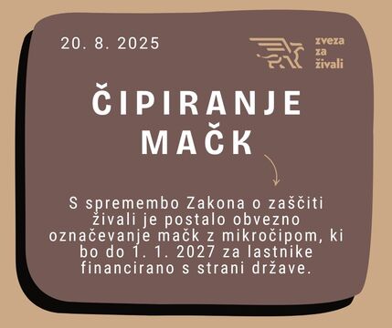 Obvezno čipiranje mačk 20. 8. 2025